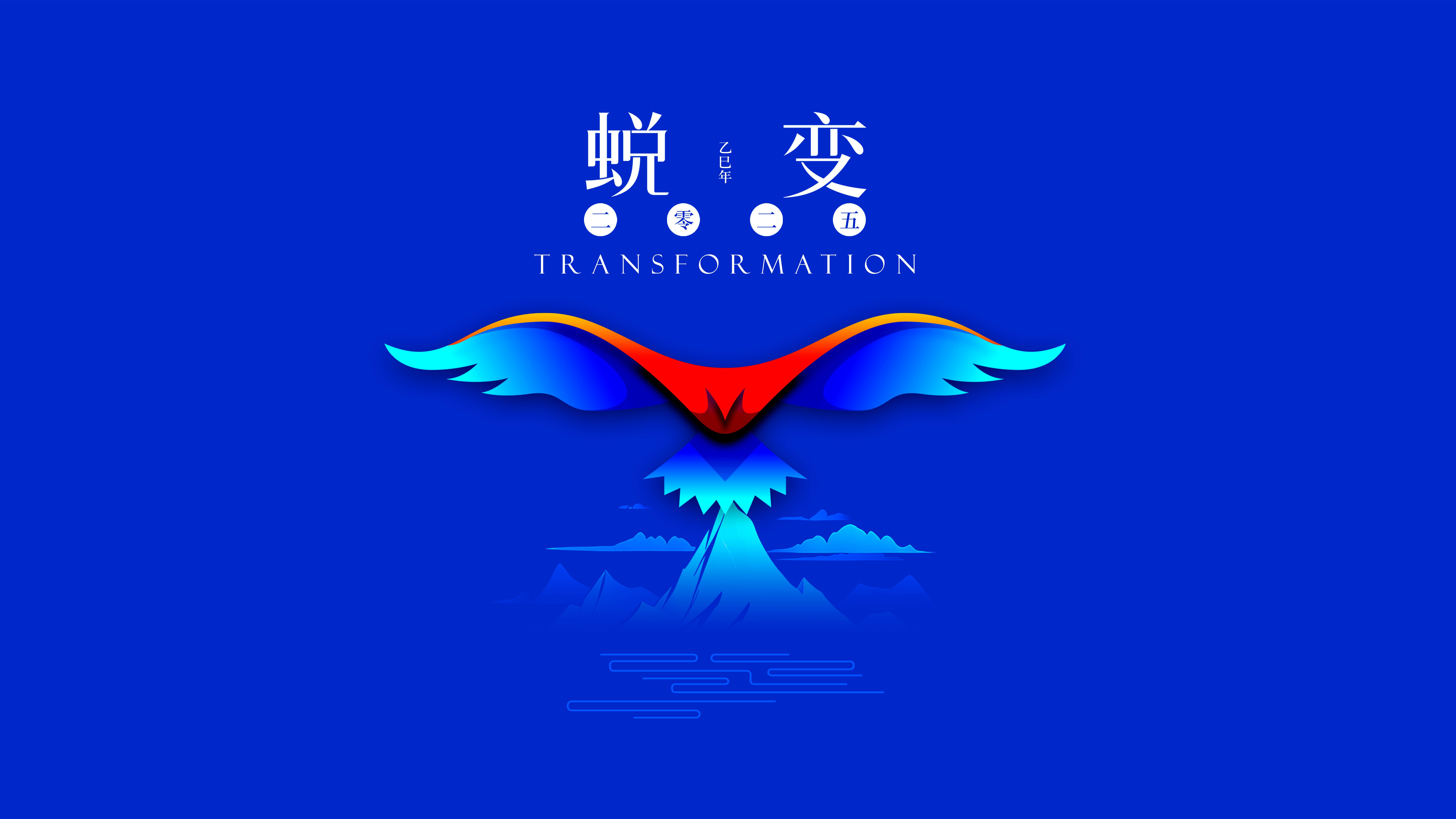 我與海星的2024，期待2025年與您一起續寫(xiě)美好篇章